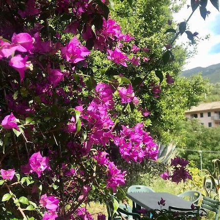 Апартаменты La Casa Novella, A 450 Metri Dal Mare Монелья Экстерьер фото