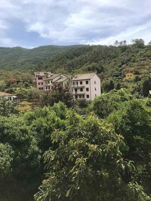 Апартаменты La Casa Novella, A 450 Metri Dal Mare Монелья Экстерьер фото