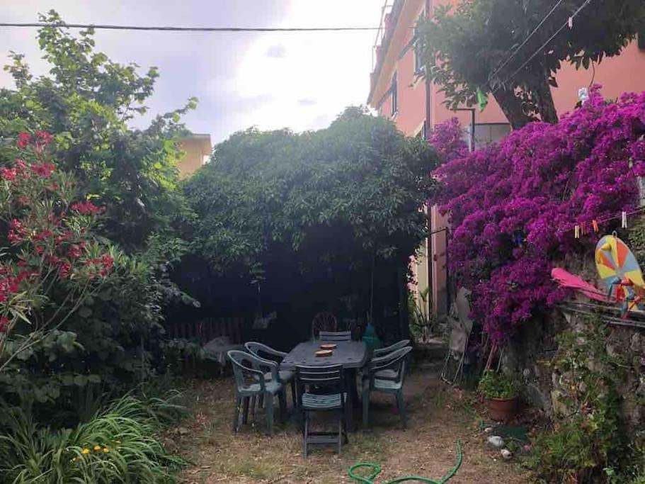 Апартаменты La Casa Novella, A 450 Metri Dal Mare Монелья Экстерьер фото